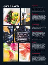 RINGFOTO Flugblatt Seite 31