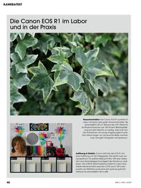 RINGFOTO Flugblatt Seite 46