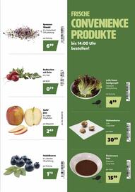 Landmarkt Flugblatt Seite 3
