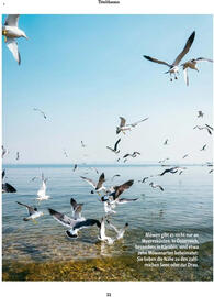 Fressnapf Flugblatt Seite 11