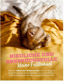 Fressnapf Flugblatt Seite 16