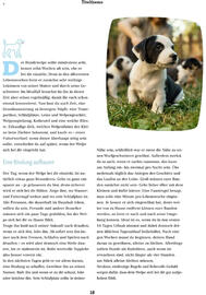 Fressnapf Flugblatt Seite 18