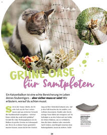 Fressnapf Flugblatt Seite 34