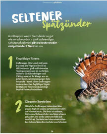 Fressnapf Flugblatt Seite 36