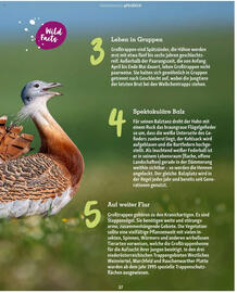 Fressnapf Flugblatt Seite 37