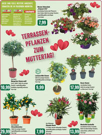 Feneberg Prospekt Seite 15