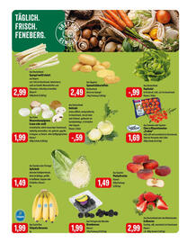 Feneberg Prospekt Seite 8