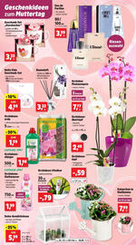 Thomas Philipps Prospekt woche 19 Seite 10