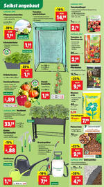 Thomas Philipps Prospekt woche 19 Seite 6
