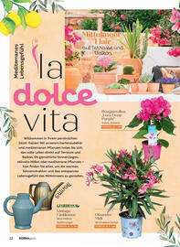Norma Prospekt Seite 12