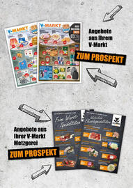 V Baumarkt Prospekt woche 19 Seite 13