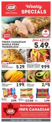 IGA flyer (valid until 4-05)