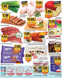 Starsky flyer Page 2