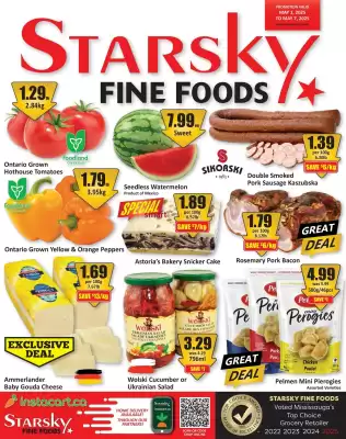 Starsky flyer (valid until 4-05)