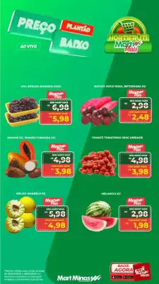 Catálogo Mart Minas
