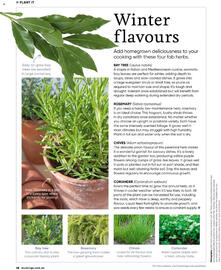Bunnings catalogue Page 132