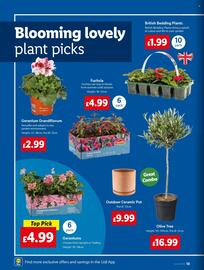 Lidl leaflet week 19 Page 18
