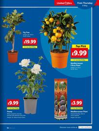 Lidl leaflet week 19 Page 19