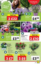 Lidl leaflet week 19 Page 23