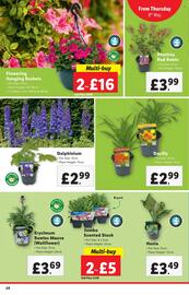 Lidl leaflet week 19 Page 24
