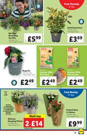 Lidl leaflet week 19 Page 25