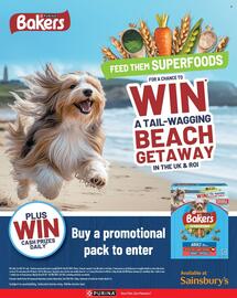 Sainsbury's leaflet Page 10