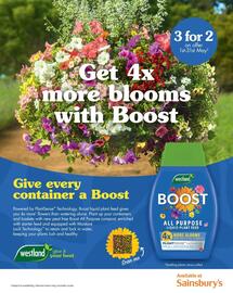 Sainsbury's leaflet Page 8