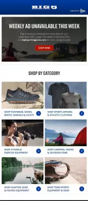 Big 5 Weekly Ad (valid until 1-05)