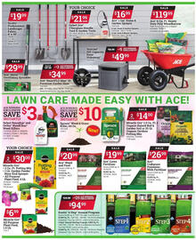 Ace Hardware Weekly Ad Page 3