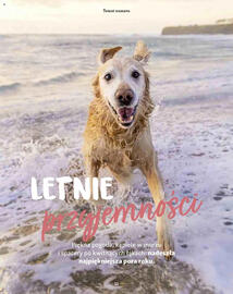 Maxi Zoo gazetka Strona 11