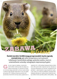 Maxi Zoo gazetka Strona 32