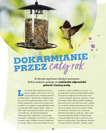 Maxi Zoo gazetka Strona 38