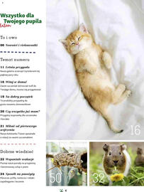 Maxi Zoo gazetka Strona 4