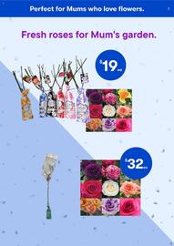 BIG W catalogue week 18 Page 5