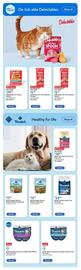 Walmart flyer week 18 Page 6