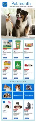 Walmart flyer (valid until 7-05)