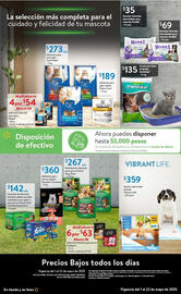 Catálogo Walmart Express Página 23