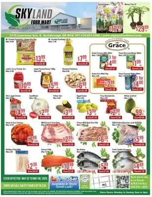 Skyland Foodmart flyer (valid until 8-05)