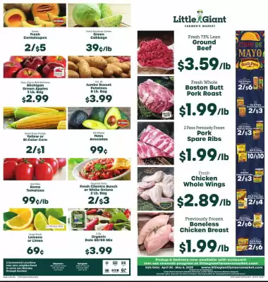Little Giant Weekly Ad (valid until 6-05)