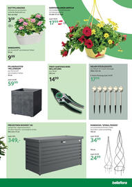 Bellaflora Flugblatt Seite 3