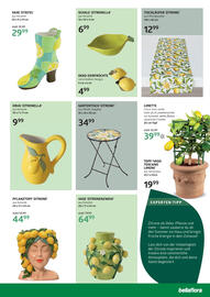 Bellaflora Flugblatt Seite 5