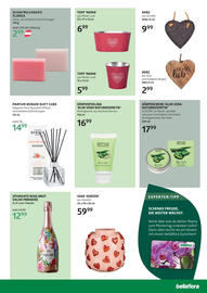 Bellaflora Flugblatt Seite 7