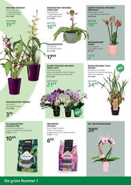 Bellaflora Flugblatt Seite 8