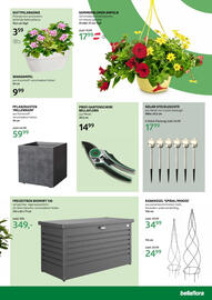 Bellaflora Flugblatt Seite 3