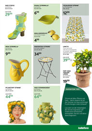 Bellaflora Flugblatt Seite 5