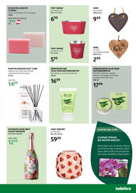 Bellaflora Flugblatt Seite 7