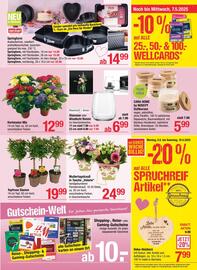 Maximarkt Flugblatt woche 19 Seite 5