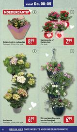 ALDI folder week 19 Pagina 41