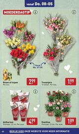 ALDI folder week 19 Pagina 43