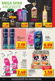 Elli Markt Prospekt woche 19 Seite 13